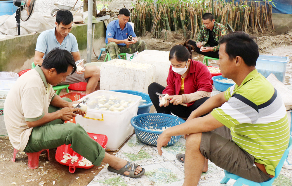 {keywords} {keywords}