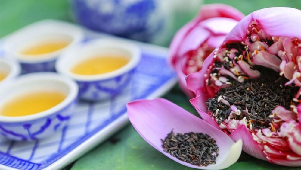 Hà Nội lọt top 5 điểm đến hấp dẫn cho Ngày Quốc tế Trà