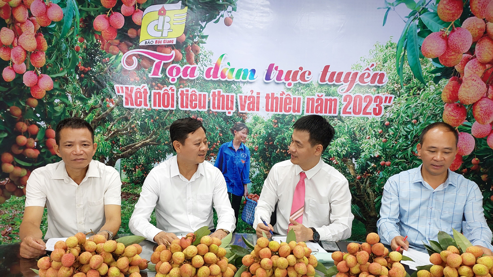 Toạ đàm trực tuyến “Kết nối tiêu thụ vải thiều năm 2023”