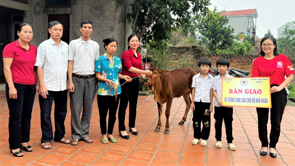 Nối nhịp cầu nhân ái