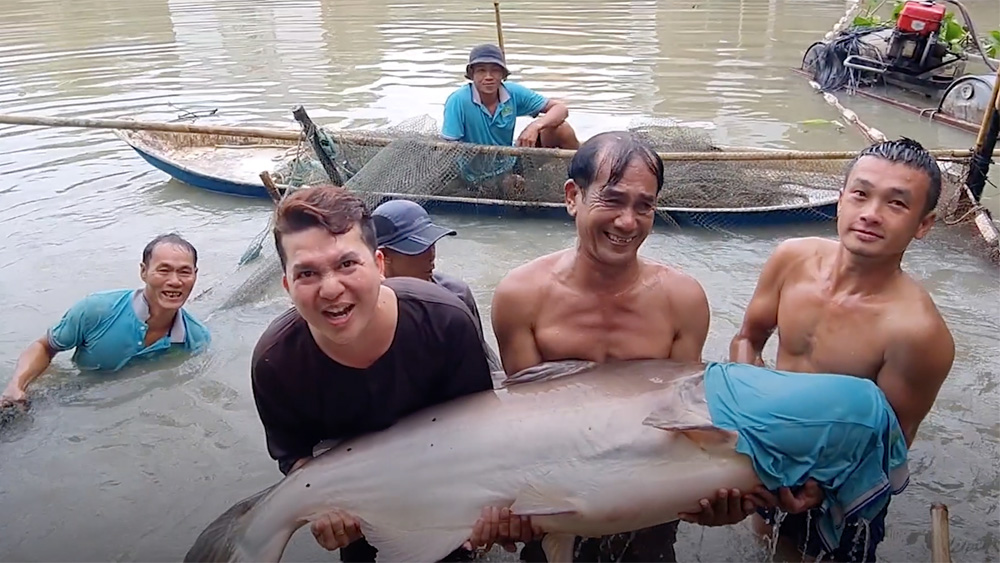 Can Tho family keeps a pond of Mekong giant catfish