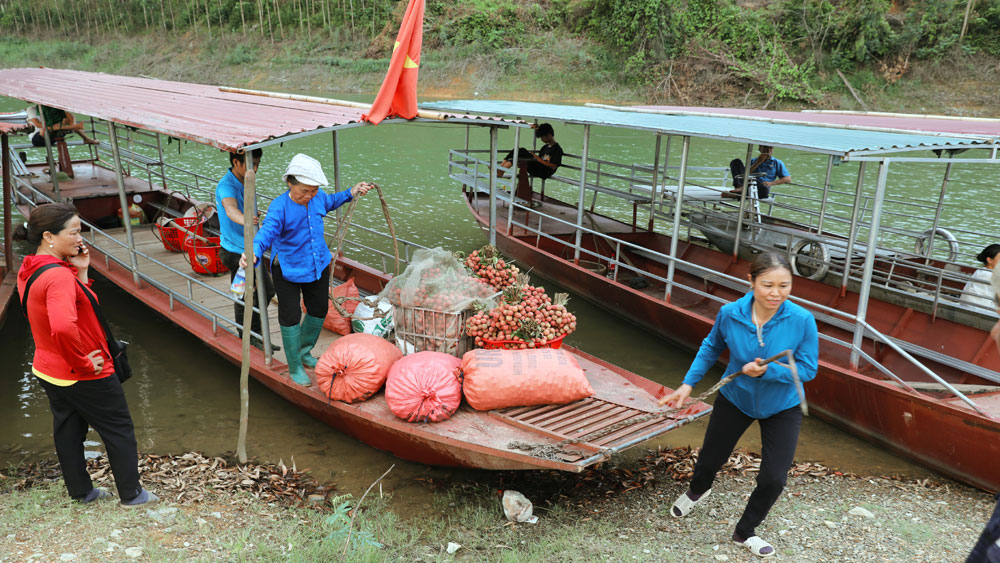 Độc, lạ chợ vải vùng hồ Cấm Sơn