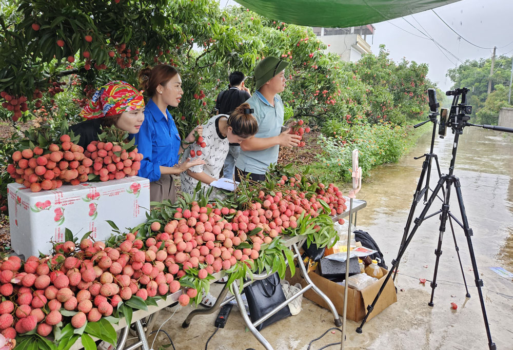 {keywords} {keywords}