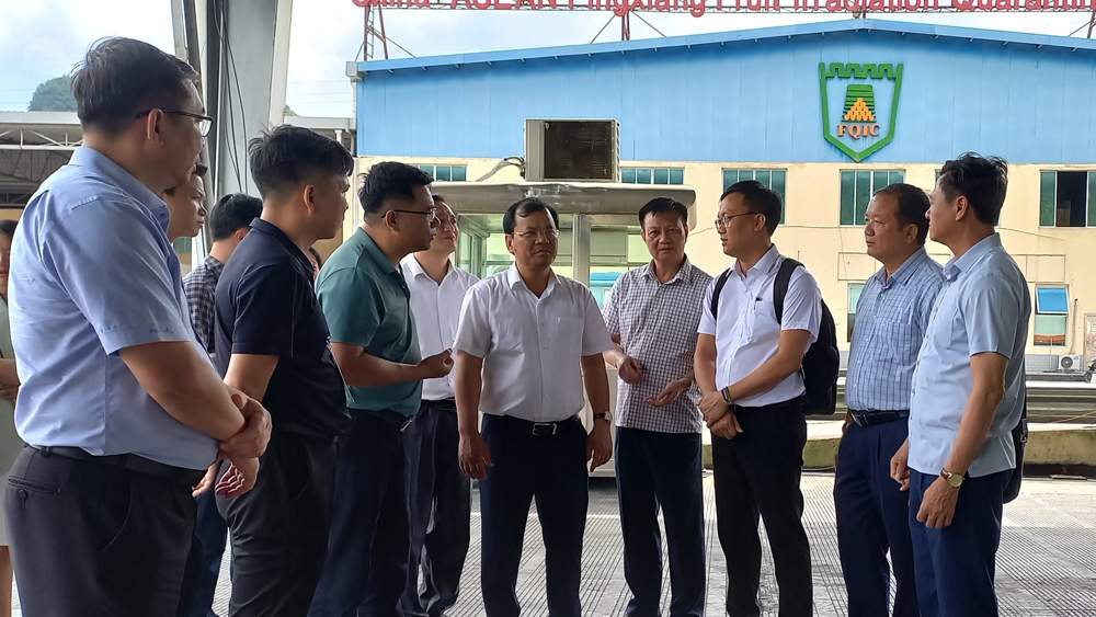 Bắc Giang: Xúc tiến tiêu thụ vải thiều tại thị Bằng Tường (Trung Quốc)