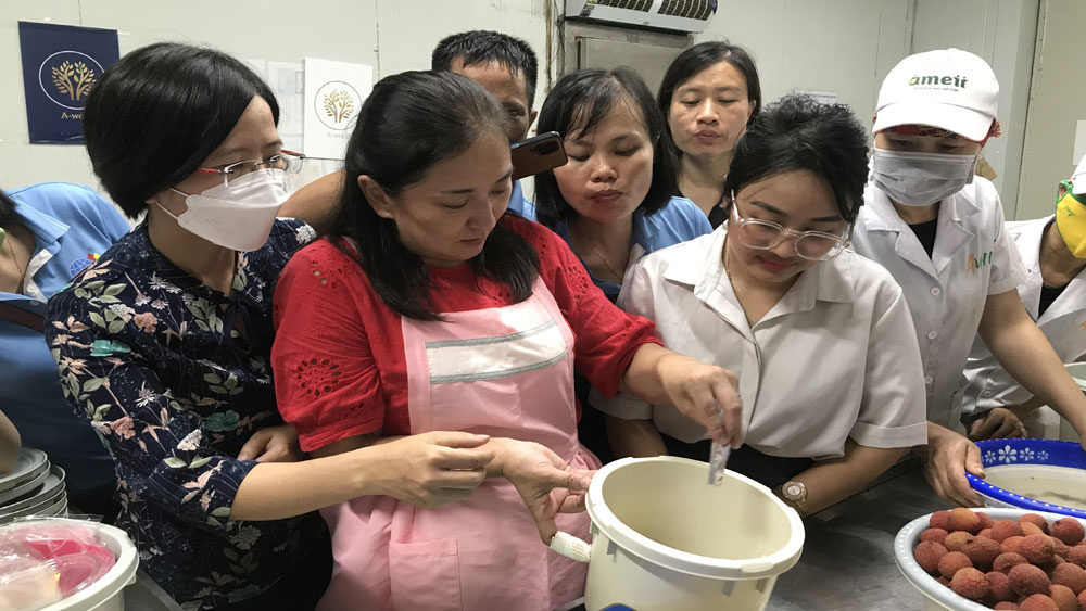 Hải Dương chuyển giao công nghệ lên men, bảo quản quả vải
