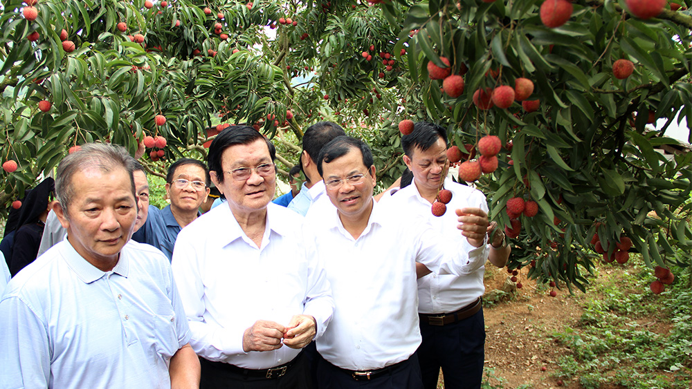 {keywords} {keywords}