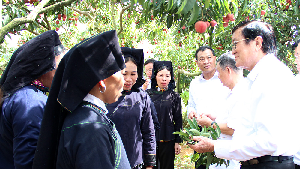 {keywords} {keywords}