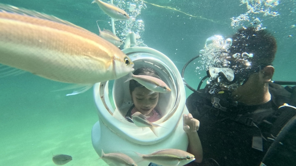 {keywords} {keywords}