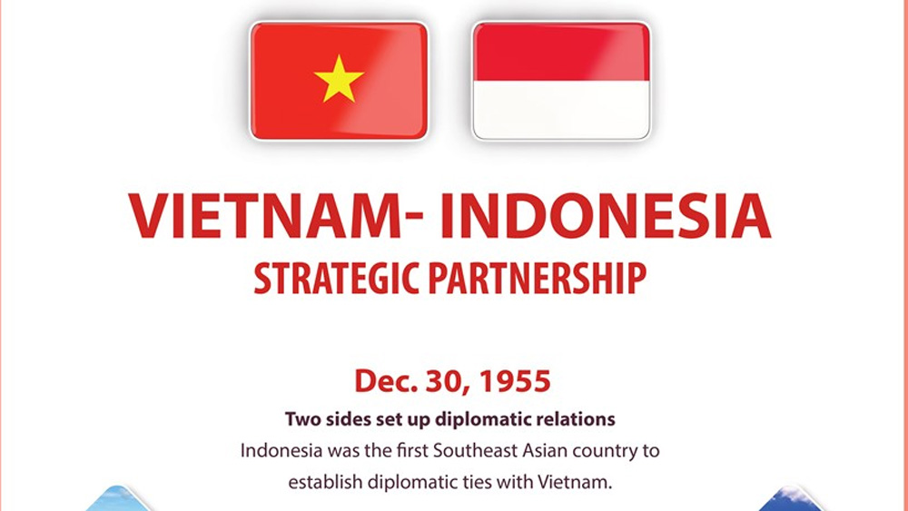 Vietnam, Indonesia enjoy robust relations