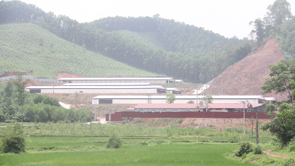 Xây trang trại gà trên đất rừng, một cá nhân bị xử phạt