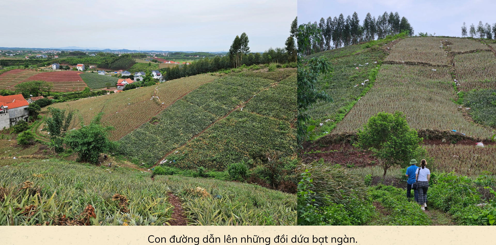 {keywords} {keywords}