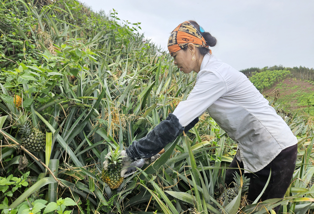 {keywords} {keywords}