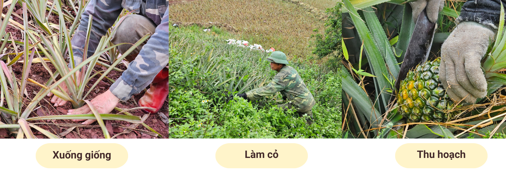 {keywords} {keywords}