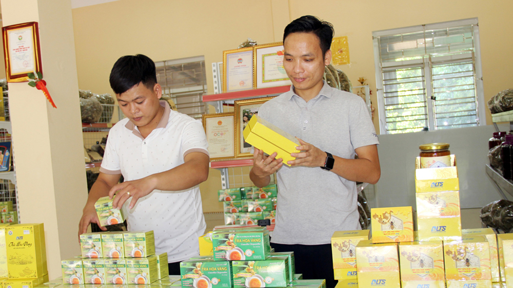 Two outstanding locomotives of Bac Giang cooperatives