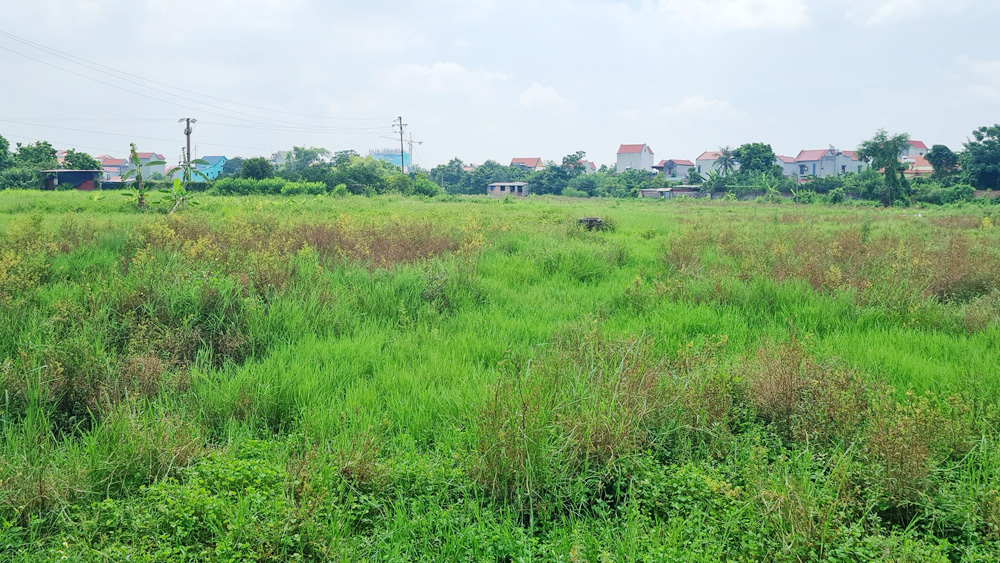Bich Dong town (Viet Yen) exerts efforts to clear land and attract investment