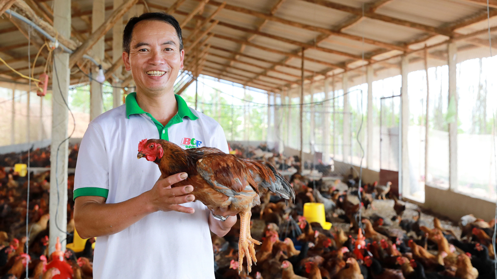 Anh Nguyễn Hữu Quý - Nông dân thế hệ mới