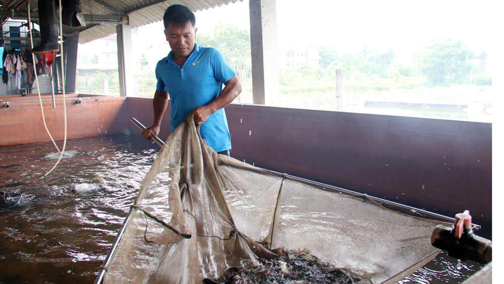 Đào tạo nghề cho lao động nông thôn - giải pháp giảm nghèo bền vững