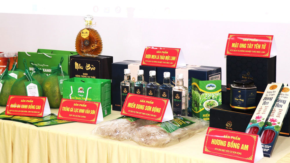 Sơn Động: 7 sản phẩm đạt OCOP 3 sao