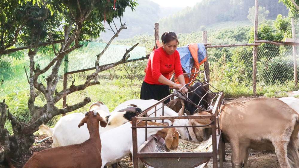 Từ gian khó vươn lên làm giàu