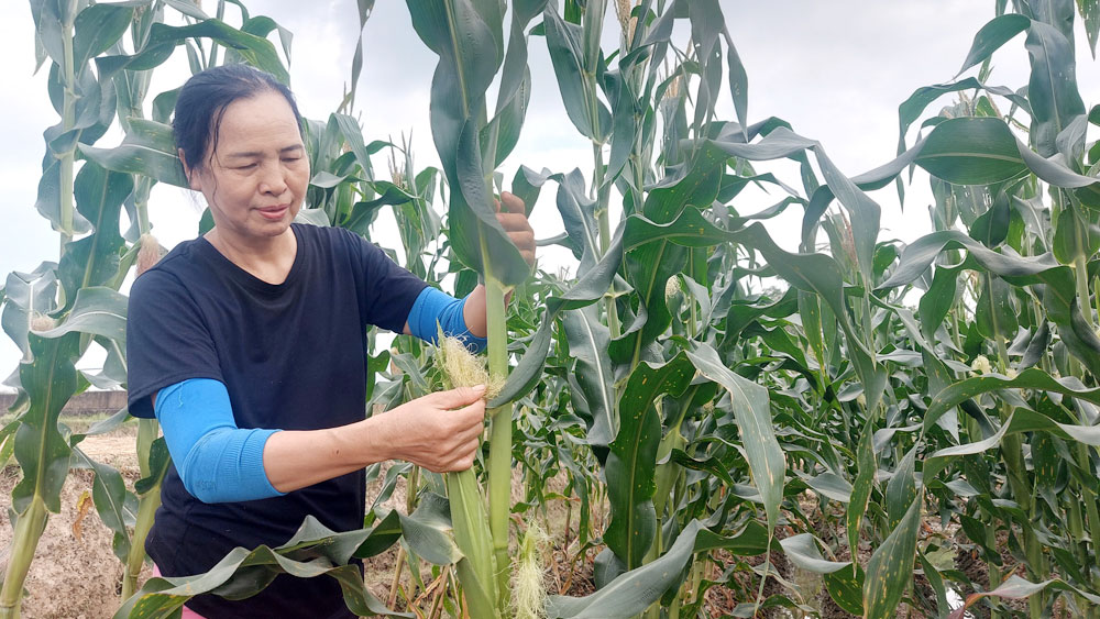 {keywords} {keywords}