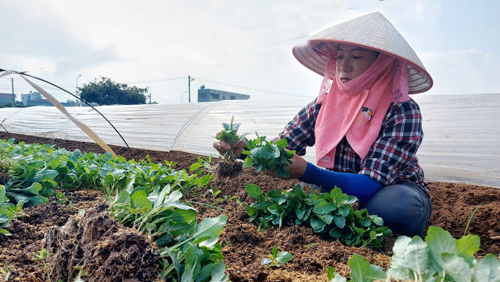 {keywords} {keywords}