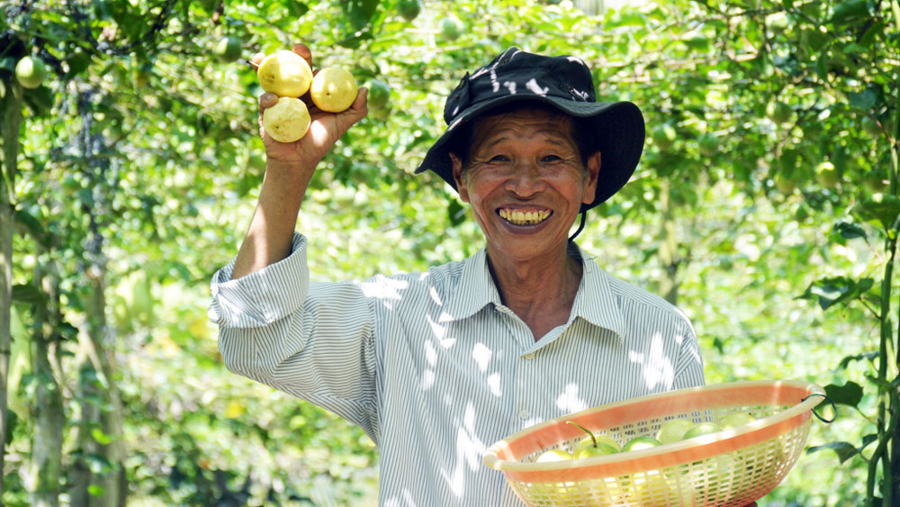 {keywords} {keywords}