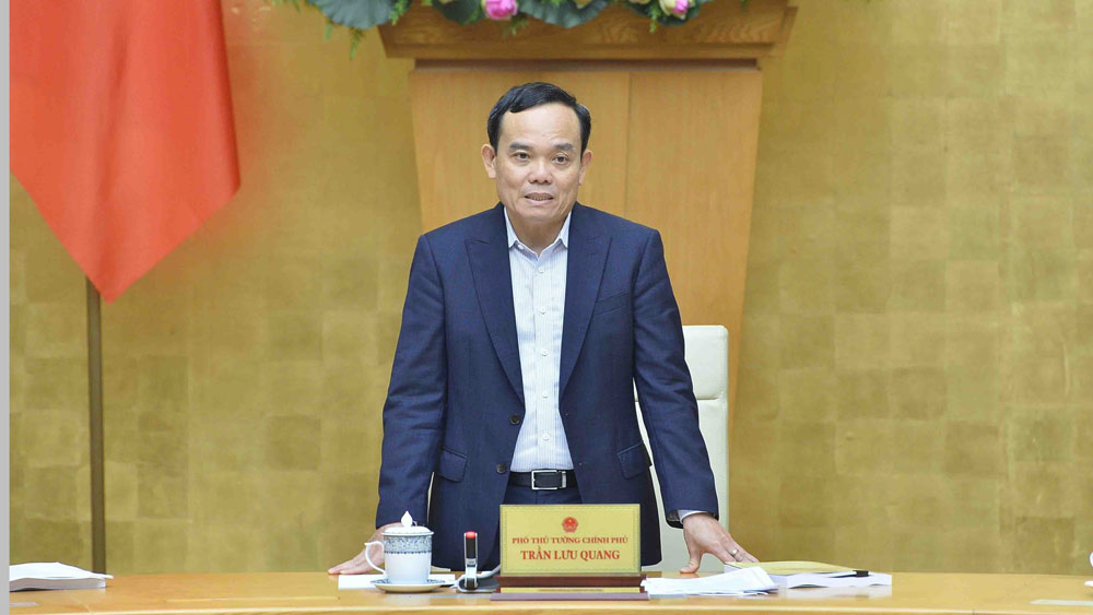 {keywords} {keywords}