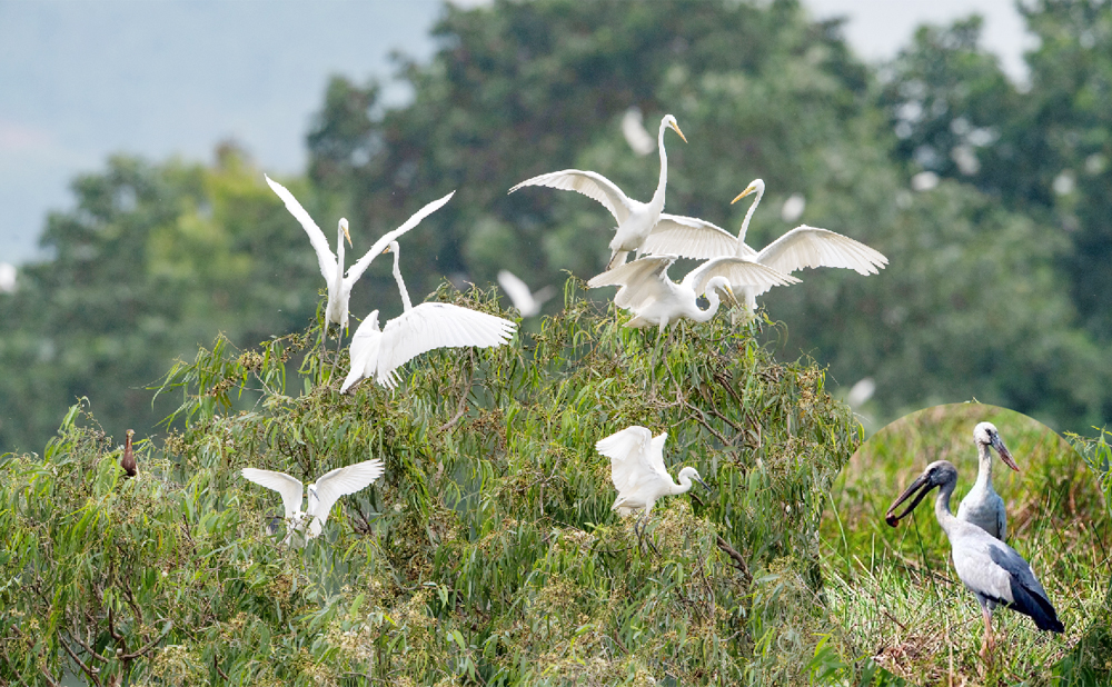 {keywords} {keywords}