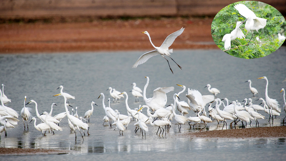 {keywords} {keywords}