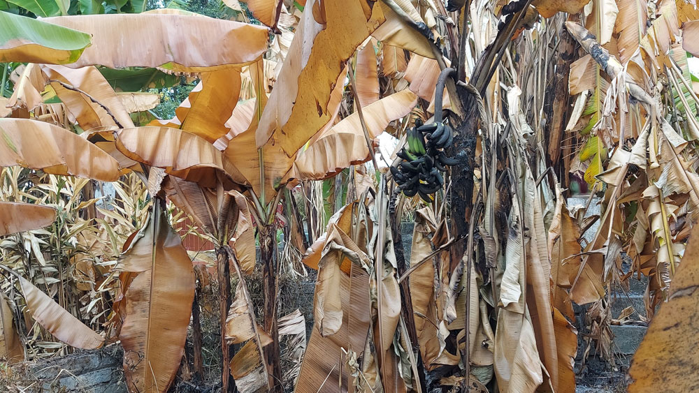 {keywords} {keywords}