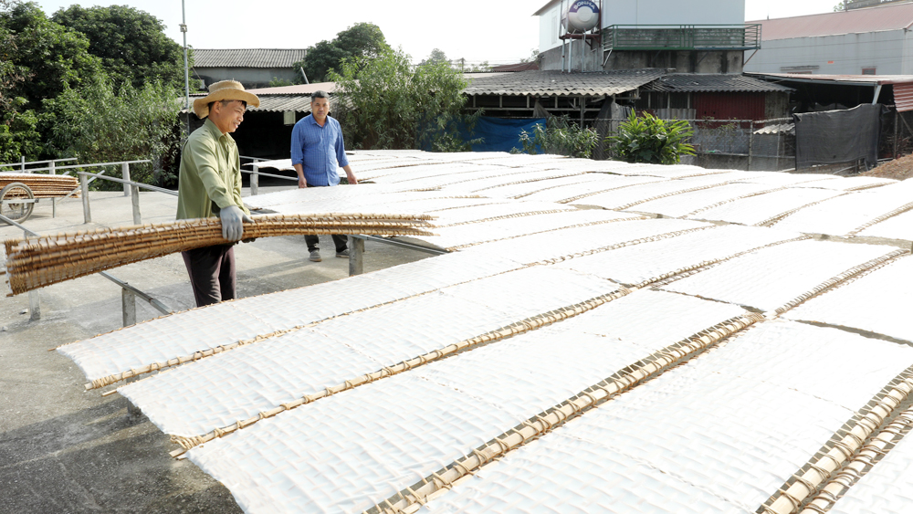 Thu Duong noodle village enters Tet season