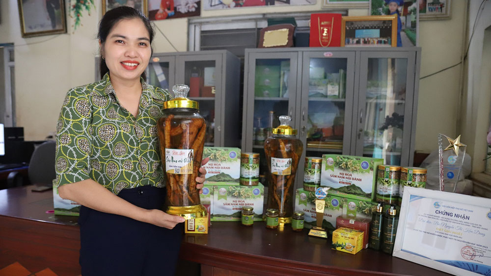 Khởi nghiệp từ cây bản địa quý