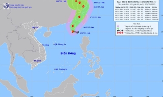 Áp thấp nhiệt đới mạnh lên thành Bão số 2