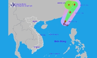 Bão Danas mạnh cấp 11