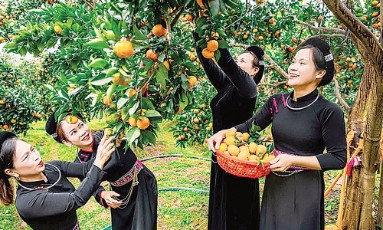  Xã Lục Ngạn: Miền quả ngọt níu chân du khách