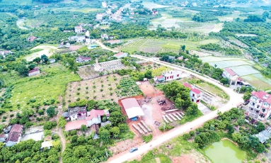  Xã Lục Sơn: Đánh thức tiềm năng từ núi rừng