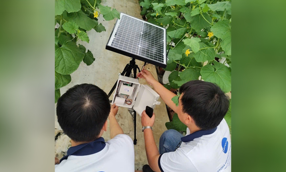 Nông dân nuôi trồng bằng AI
