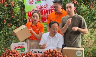Khi lãnh đạo tỉnh livestream bán vải