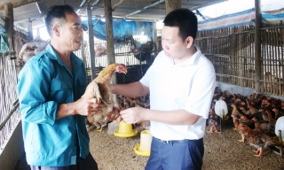 Bắc Ninh: Khôi phục nhanh sản xuất, ổn định đời sống sau mưa bão