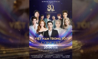 Việt Nam trong tôi - Concert