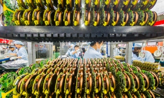 Nhịp sống công nghiệp