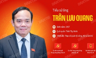 Ông Trần Lưu Quang làm Bí thư Thành ủy Thành phố Hồ Chí Minh