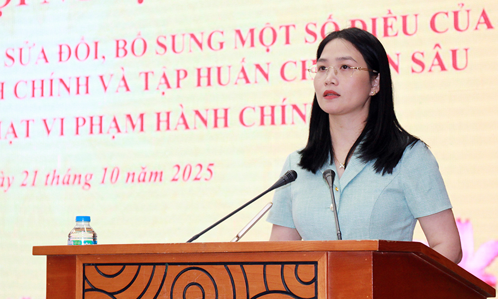   Triển khai Luật Sửa đổi, bổ sung một số điều của Luật Xử lý vi phạm hành chính
