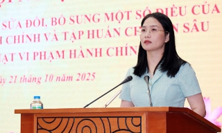  Triển khai Luật Sửa đổi, bổ sung một số điều của Luật Xử lý vi phạm hành chính