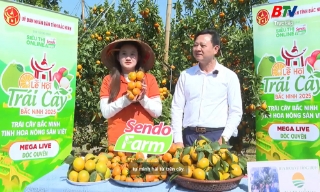 Lễ hội trái cây tại vườn – Hợp tác xã Nam Đồng