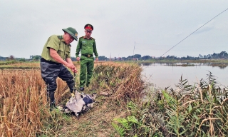 Bắc Ninh: Xử lý, ngăn chặn nhiều vụ săn bắt chim hoang dã