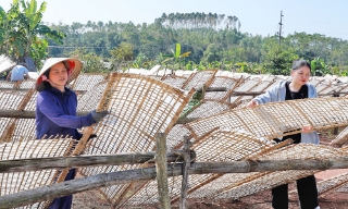 Giàu lên nhờ sản xuất mỳ gạo