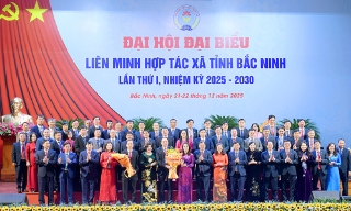 Đổi mới mô hình quản trị hợp tác xã theo hướng số, xanh, tuần hoàn