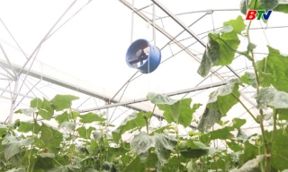 Ứng dụng công nghệ thông tin, chuyển đổi số vào sản xuất nông nghiệp