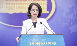 Việt Nam quan ngại sâu sắc về thông tin liên quan tình hình hiện nay ở Venezuela